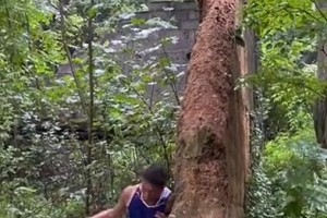 背打鑿穿墻，字母哥看到都要服??